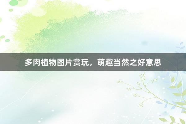 多肉植物图片赏玩，萌趣当然之好意思