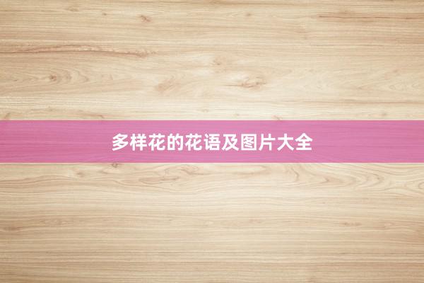 多样花的花语及图片大全
