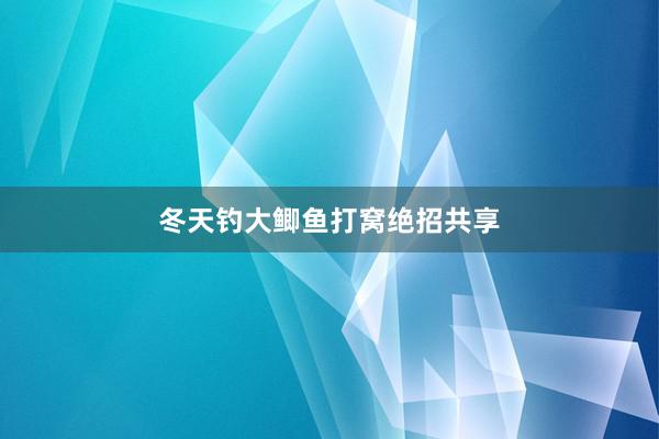 冬天钓大鲫鱼打窝绝招共享